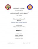 Obtención de una curva de calibración