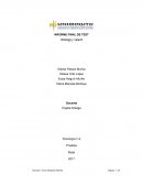 INFORME FINAL DE TEST Wartegg y Valanti