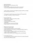 Resumen Medio Masivos y Retorno de la Democracia en Chile