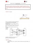 Matemática Aplicada - TRABAJO PRÁCTICO I