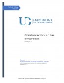 Colaboración en empresas