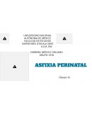 ASFIXIA PERINATAL