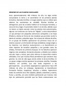 ORIGENES DE LAS PLANTAS VASCULARES