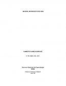 MI DOFA, MI PROYECTO DE VIDA