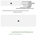 Ensayo efectos nocivos de Chérnobyl