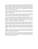 El proceso de producción bananero en Guatemala