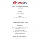 Plantilla Historia del mundo en dos horas