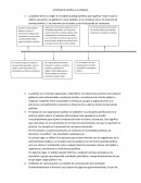Actividad de política y ciudadanía