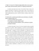 Atmosfera sonora . Película “Feel the Beat” (Siente el ritmo),