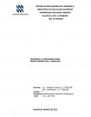 DESARROLLO ORGANIZACIONAL “MAPA CONCEPTUAL Y ANALISIS”