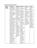 Actividad: Etapas del proceso administrativo