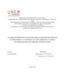 Factores que propician el desvalijamiento de Vehiculos