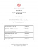 ¿Qué organización de ventas utiliza Bimbo en China?