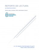 REPORTE DE LECTURA. La columna de hierro