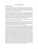 EL NUEVO CICLO ECONOMICO