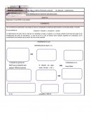 DETERMINACION DE H2SO4