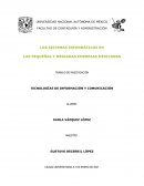 LOS SISTEMAS INFORMÁTICOS EN LAS PEQUEÑAS Y MEDIANAS EMPRESAS MEXICANAS