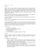 Apuntes Marco Lógico