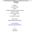 El compromiso individual y social del ser humano