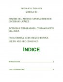 Actividad Contaminacion del agua
