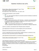 TEMARIO TEÓRICO DE GUPS