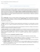 Resumen gestión de empresas