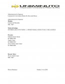 INFORME EJECUTIVO PARTE 3 , OPORTUNIDAD, ESTRUCTURA Y RELACIONES