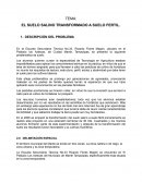 EL SUELO SALINO TRANSFORMADO A SUELO FERTIL