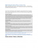 Tecnologia en la construccion. Casas Prefabricadas, Madera, Metalcon Y Hormigon Celular