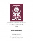Ensayo argumentativ. Liderazgo y gestión