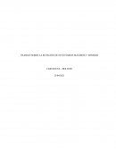 Rotación de inventarios