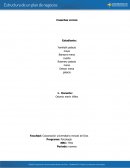 Estructura de una plan de negocios.