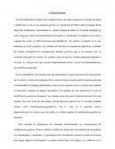 Ensayo filosofia. El diseño humano