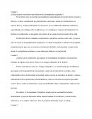 ¿Puede resumir brevemente una definición del acompañante terapéutico?