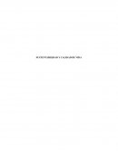 Sustentabilidad y calidad de vida