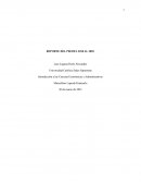 REPORTE DEL PBI DEL 2010 AL 2020