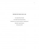 REPORTE DEL PBI DEL 2010 AL 2020