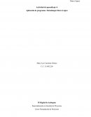 Aplicación de programas. Metodología Marco Lógico