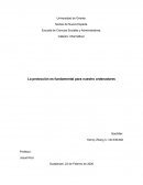 Virus y antivirus. La protección es fundamental para nuestro ordenadores