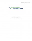 EMPRESA: FITORADE DAILY MEAL PLAN