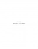 Producción de uniformes corporativos (uniforme militar -pantalón)