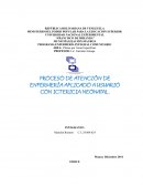 PROGRAMA ENFERMERÍA INTEGRAL COMUNITARIO