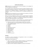 ANÁLISIS ESTRATÉGICO DE NAKAMA SOLUCIONES SAC