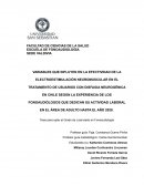 VARIABLES QUE INFLUYEN EN LA EFECTIVIDAD DE LA ELECTROESTIMULACIÓN NEUROMUSCULAR EN EL TRATAMIENTO DE USUARIOS CON DISFAGIA NEUROGÉNICA EN CHILE