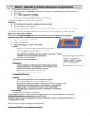 Importancia de Factor Humano en la organización