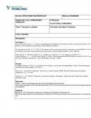 HABILIDADES VERBALES. Actividad Y Evidencia