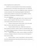 Política de Seguridad y Salud en el Trabajo de Eólicas