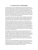 La cultura de los videojuegos