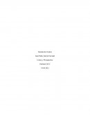 Costos y Presupuestos. Empresa Natural S.A