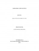 Laboratorio campo magnético